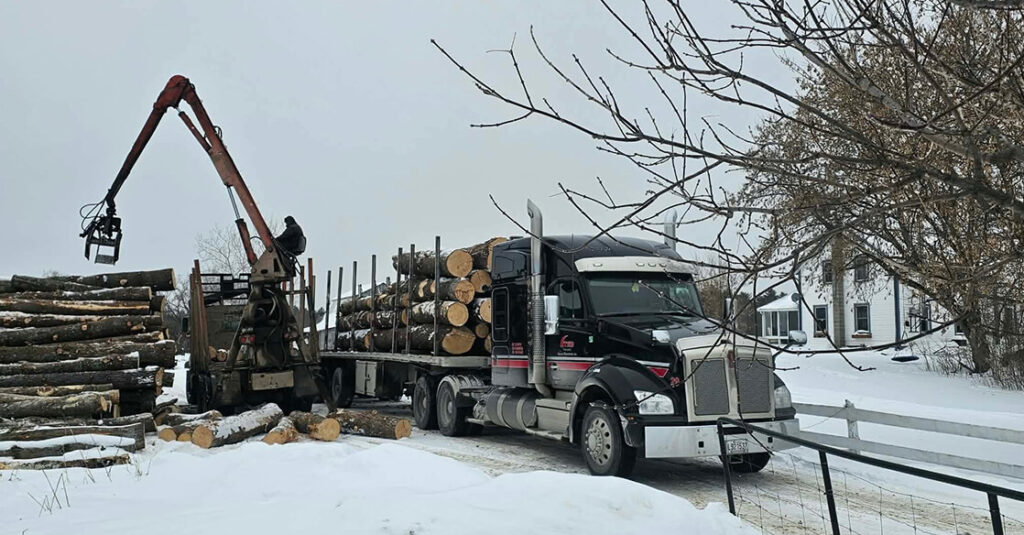 Transport de bois